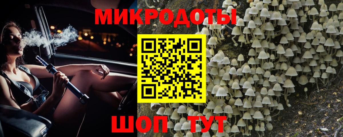 Псилоцибиновые грибы Psilocybine cubensis Майский