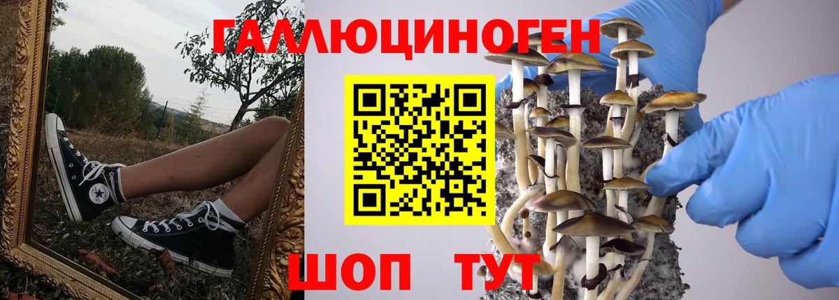 Галлюциногенные грибы ЛСД  Псилоцибиновые грибы GOLDEN TEACHER  наркотики  Вход с VPN  Майский 